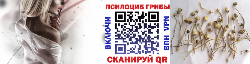 Псилоцибиновые грибы прущие грибы  МЕГА ссылка  Кашира 